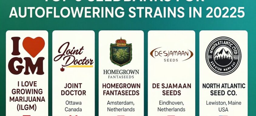Top 5 Seedbanks for Autoflowering Strains in 2025