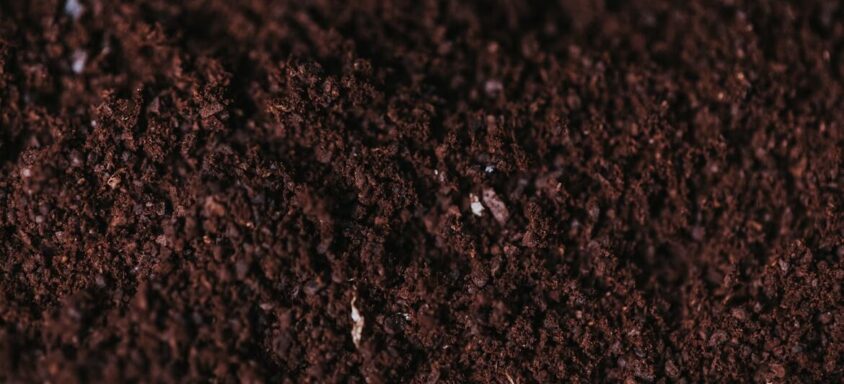 The Ultimate Guide to the Best Organic Nutrients for Cannabis Growing