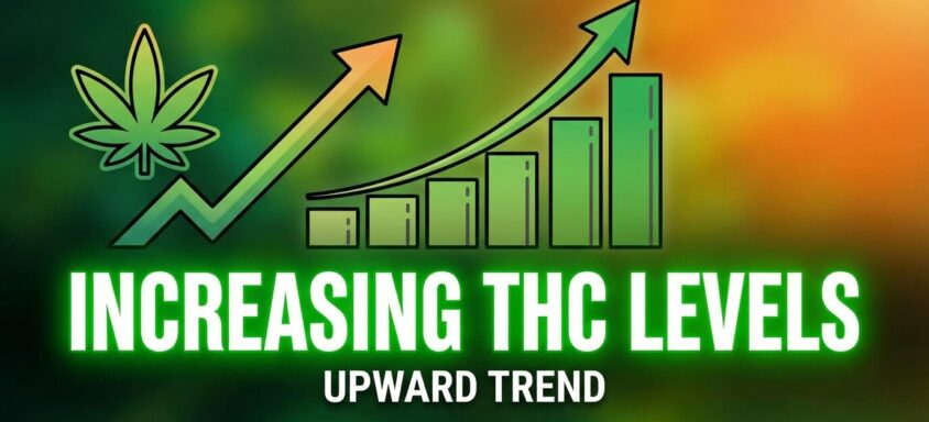 The Ultimate Guide to Increasing THC Level in Your Cannabis Plants.